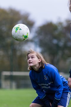 Bild 253 - B-Juniorinnen HSV - SV BW Hohen Neuendorf